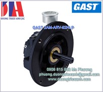  Gast 2AM-ARV-92NLP  0.55HP 0.40kw 5.6bar 13.97 mm chính hãng tại Việt Nam