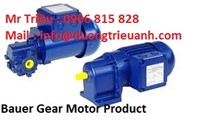 Bauer Gear Motor Product, động cơ Bauer. ổ đĩa Bauer
