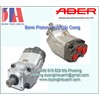 Bơm Piston Aber trục cong BID SERIES | 38+37 – 70+66cc/Rot