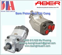 Bơm Piston Aber trục cong BID SERIES | 38+37 – 70+66cc/Rot