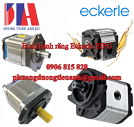 Bơm bánh răng Eckerle EIPG2  