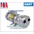 Bơm bánh răng Gast 1023-V103-G608NEX |