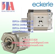 Bơm thủy lực Eckerle EIPC6-125RA23-11 (Germany) | Eckerle pump EIPC6-125RA23-1X EIPC6-160RA23-1X EIPC6-200RA23-1X EIPC6-250RA23-1X