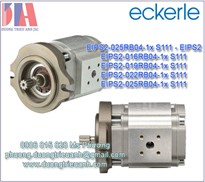 Bơm thủy lực Eckerle EIPS2-025RB04-1x S111 - EIPS2 | Eckerle EIPS2-016RB04-1x S111 | Bơm bánh răng EIPS2-022RB04-1x S111