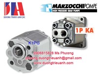 Bơm thủy lực Marocchi 1PD6.7KA | Bơm Marocchi 1PD2.5KA | Marzocchi pump	KL1PD11.5G | Marzocchi việt nam 1BK4D5.8