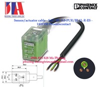 Cảm biến Phoenix contact | Sensor/actuator cable - SAC-3P- 3,0-PUR/BI-1L-R-ES - 1401350 Phoenixcontact