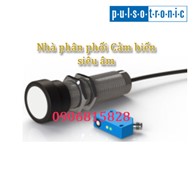 Cảm biến siêu âm Pulsotronic chính hãng | Cảm biến Pulsotronic KURT800-Q100KB-ANU-V2