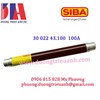 /UserUpload/Product/Cau-chi-30-022-43-125-125A-chinh-hang-Germany.jpg