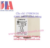 Cầu chì Bussmann 170M3416 690V 250A chính hãng