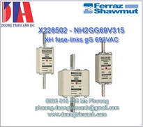 Cầu chì Ferraz Shawmut NH2GG69V315 X228502 690V  315A  51mm | Mersen fuse 315A 690V