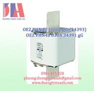 Cầu chì OEZ PHN4a 1000A gG (34393) | OEZ PHN4a 630A 34391 gG