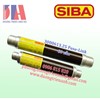 /UserUpload/Product/Cau-chi-SIBA-3000613-25-25A-10-24kV-co-san-giao-ngay.jpg
