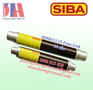 Cầu chì SIBA 3000613.25 25A 10/24kV có sẵn - giao ngay