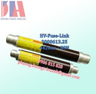 Cầu chì Siba 3000613.25 25A - SIBA 3000613.3,15 31,5A 80N có sẵn tại kho HCM
