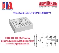 Chỉnh lưu Semikron SKiiP 25NEB066V1