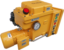 phân phối RADIUS tại Việt Nam