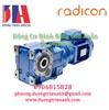 Động Cơ Bánh Răng Radicon Series K