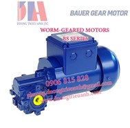 Động cơ Bauer BS02-13U/D04LA4 230/400V 0,06kW (Germany)