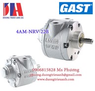 Động cơ giảm tốc Gast 4AM-NRV-22B | Gear Motors Gast MVP05GC-ALC-ZXXR-01-P15