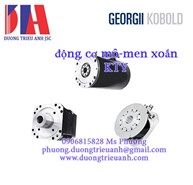 Động cơ mô-men xoắn GEORGII KOBOLD model KTY 