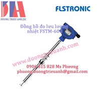 Đồng hồ đo lưu lượng nhiệt flstronic FSTM-600