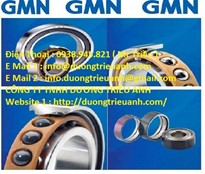 GMN bearing / GMN Bearing USA / Vòng bi GMN / Bạc đạn GMN