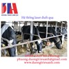 /UserUpload/Product/He-thong-tia-laser-xanh-bao-ve-gia-suc-Panasonic-Laser-duoi-qua-Panasonic.jpg