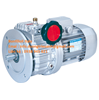 Hộp Giảm tốc Bonfilioli Italy -  Motor Bonfilioli