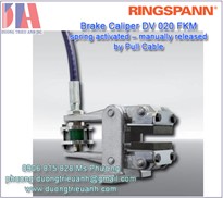 Kẹp phanh tay Ringspann DV 020 FKM | Brake Caliper DV FKM | Ringspann Viet Nam DV 020 FKM