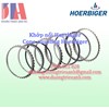 /UserUpload/Product/Khop-noi-Hoerbiger-Cone-coupling-Hoerbiger.jpg