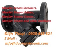 Mueller Steam Strainers,  Mueller Steam Valves , Mueller Steam Checks , Mueller Steam and other mediums