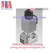 Nhà phân phối Roemheld 2363-320 500bar 24Vdc chính hãng