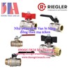 Nhà phân phối van Riegler tại Việt Nam | Van kim Riegler 240.81 VN (103768)
