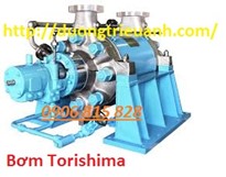 Pump Torishima - Phốt làm kín Torishima - Torisima Viet Nam - Bơm ly tâm Torishima 