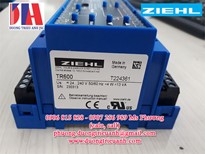 Role Nhiệt độ ZIEHL TR600 | Bộ điều khiển nhiệt độ PT 100 TR600 chính hãng tại Việt Nam 