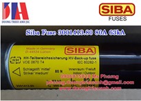 Siba Fuse 3001413.80 80A 63kA | Cầu chì Siba chính hãng Đức 3001413.80 80A 63kA 