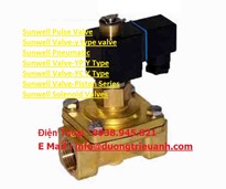 Sunwell Pulse Valve  / Sunwell Valve-y type valve  / Sunwell Pneumatic