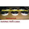 Thiết bị chỉnh lưu bán dẫn Saishemok MTS60A1200V - Công ty Dương Triều Anh