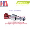 /UserUpload/Product/Van-Giam-Ap-Flucom-chinh-hang-Van-Flucom-LPB-30-CSL-04-Flucom-RLP50.jpg