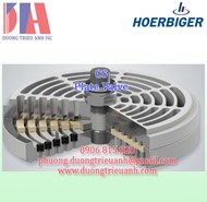  Van tấm Hoerbiger CS | Van Hoerbiger CS chính hãng