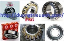 Vòng Bi FAG - FAG Việt nam